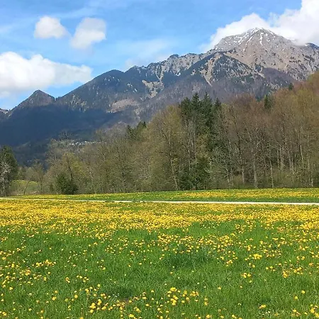 Apartma In The Countryside Under Storzic * Golnik