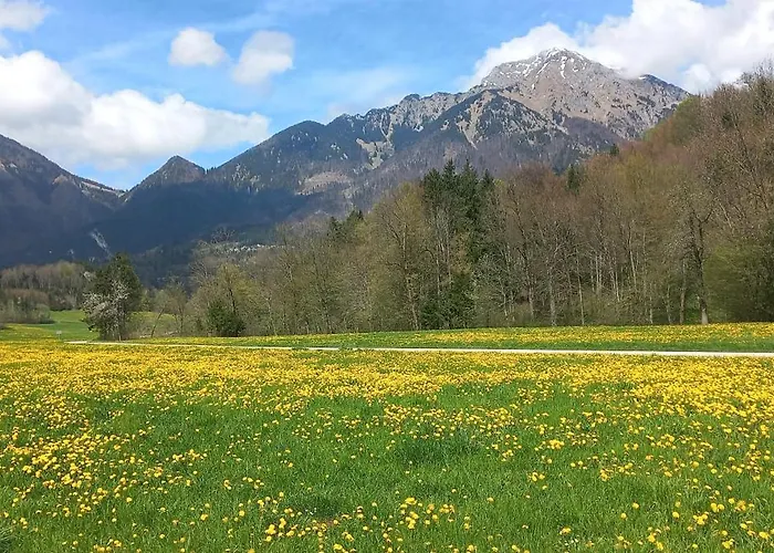 Apartma In The Countryside Under Storzic * Golnik
